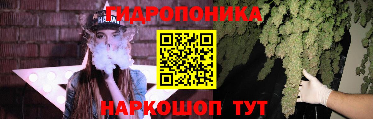 Конопля OG Kush Сыктывкар